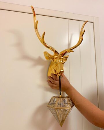 Đèn gắn tường đầu hươu ngặm kim cương VIRGO WL16