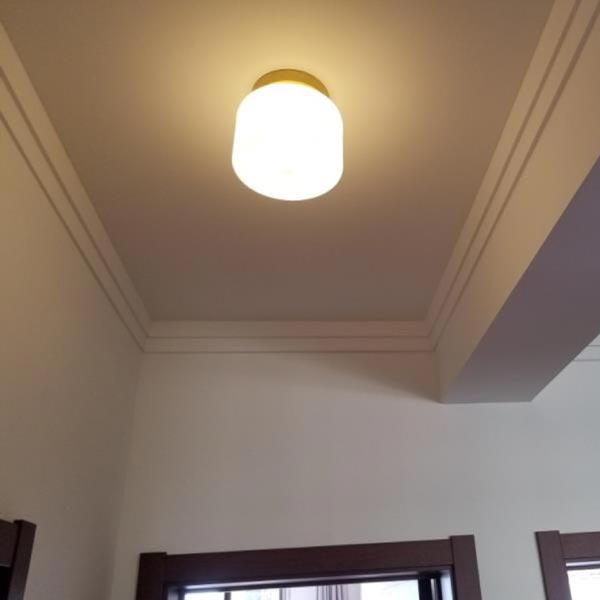Đèn ốp trần hiện đại chiếu sáng hành lang VIRGO DL119