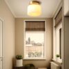 Đèn ốp trần hiện đại chiếu sáng hành lang VIRGO DL119